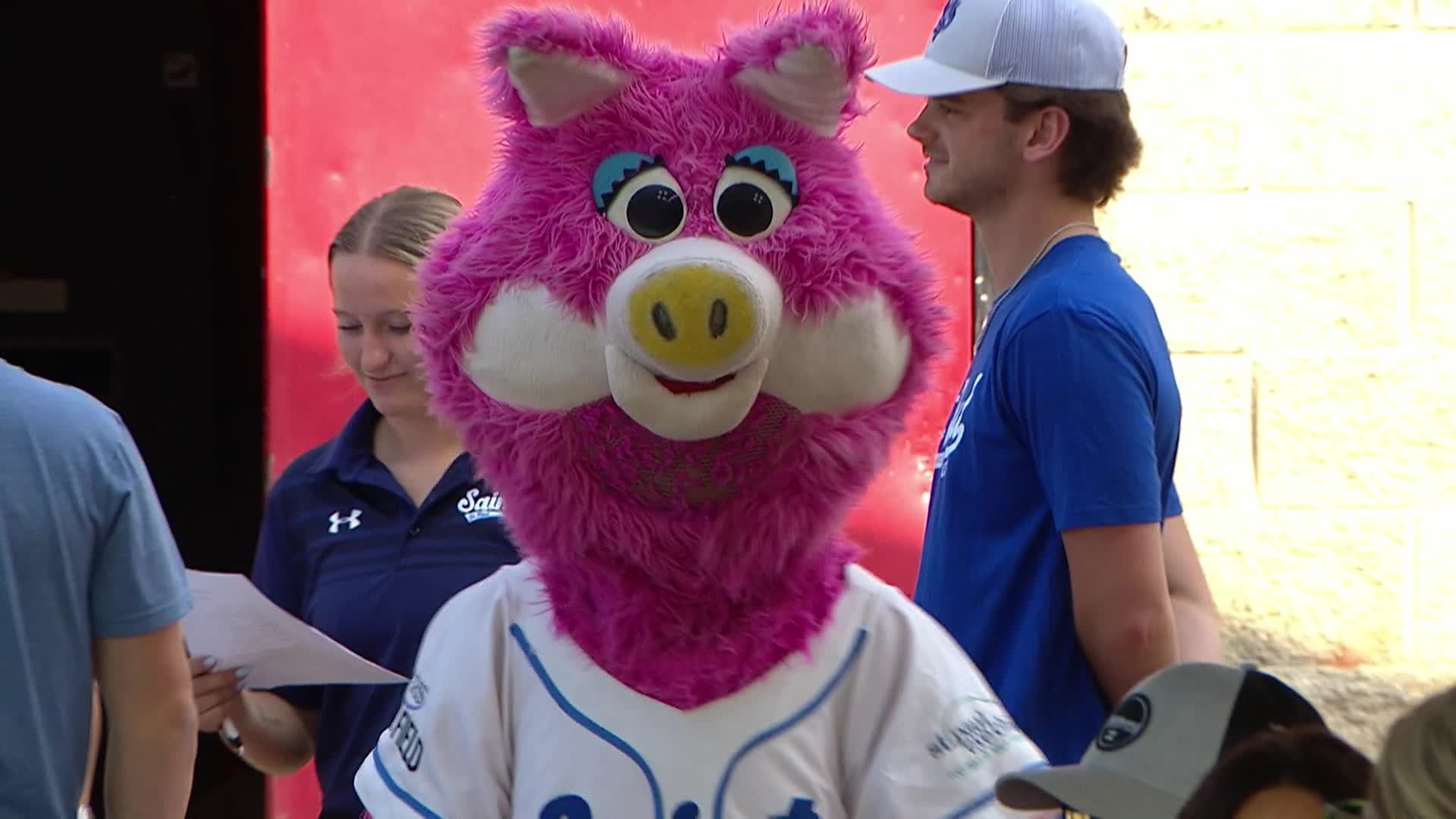 Thumbnail image for Coon Rapids Little League Baseball